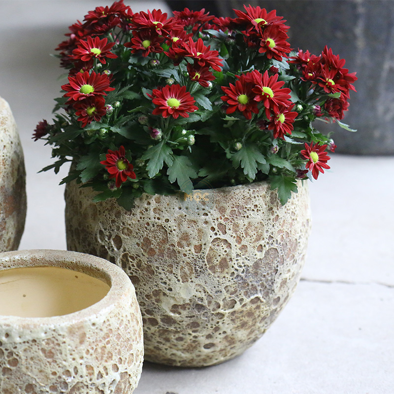 3539 Atlantic Bẩu Đáy Thon 23x23x18 M20