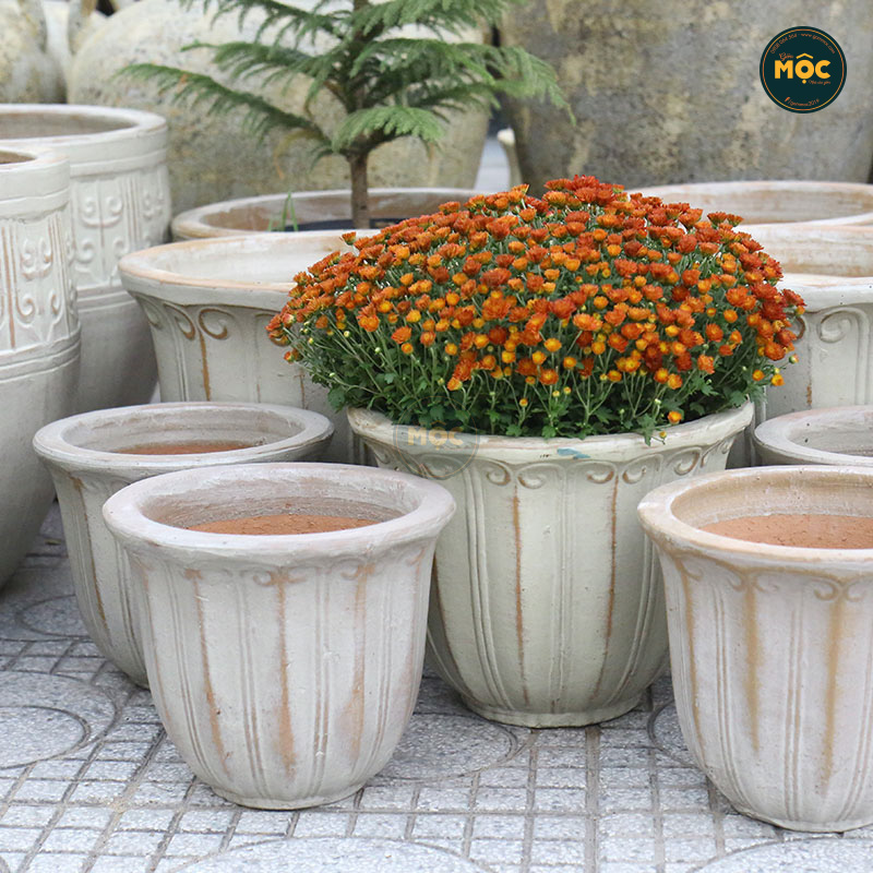 Men Mộc | 3872 Hoa Tulip Thấp 29x29x26