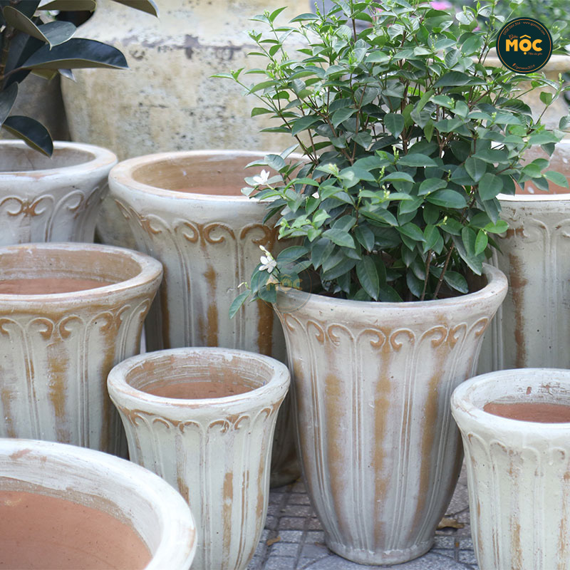 Men Mộc | 3873 Hoa Tulip Cao 47x47x56