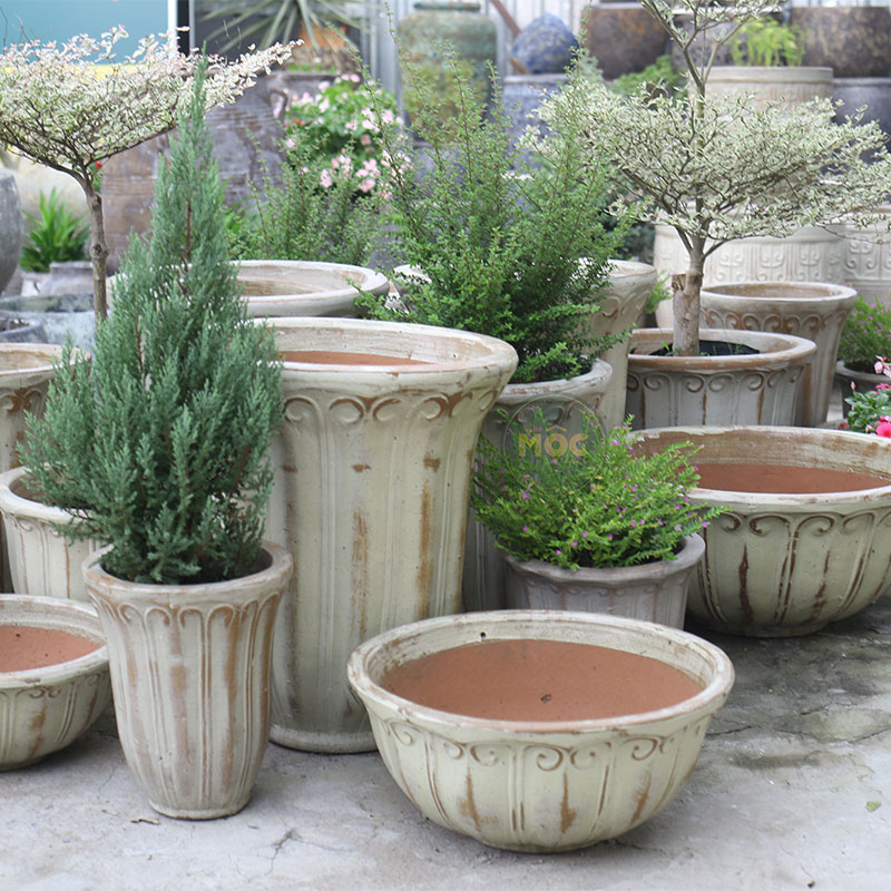 Men Mộc | 3873 Hoa Tulip Cao 47x47x56