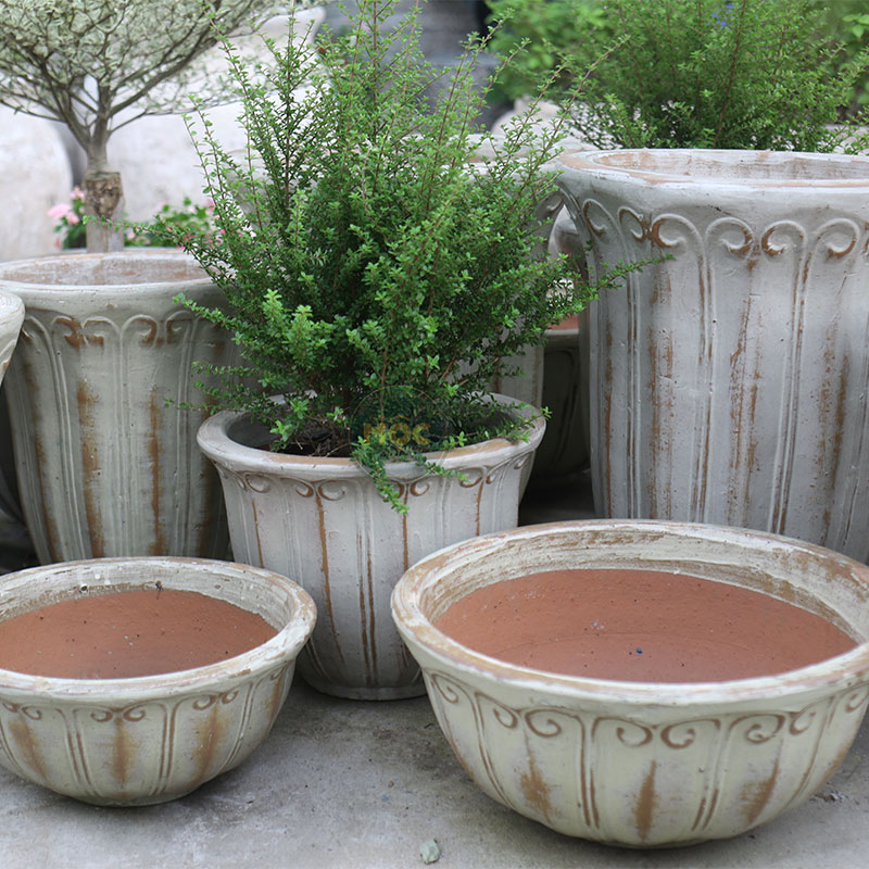 Men Mộc | 3872 Hoa Tulip Thấp 29x29x26