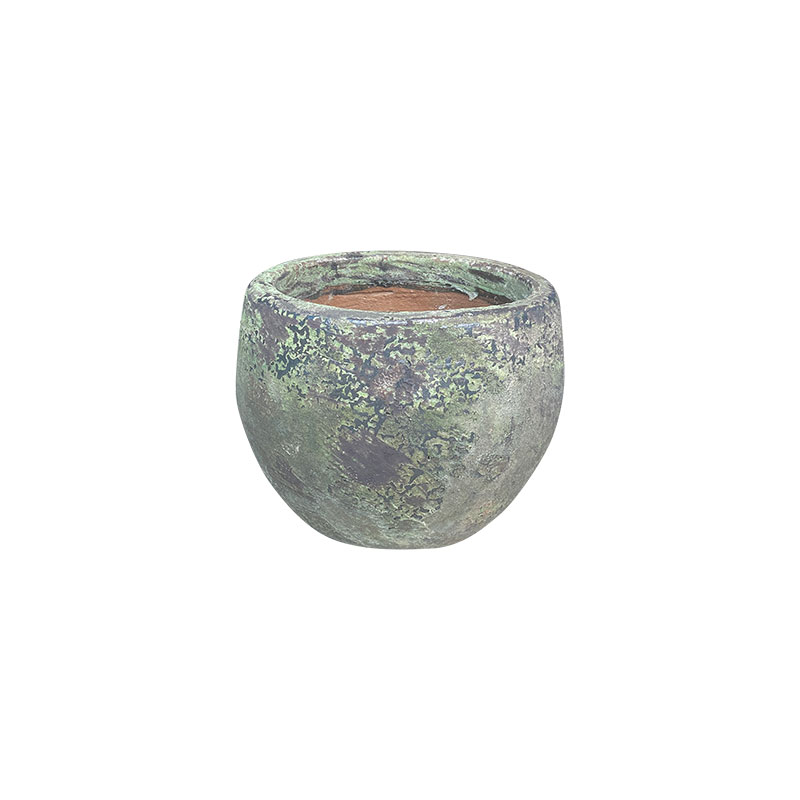 Wax Xanh Rêu