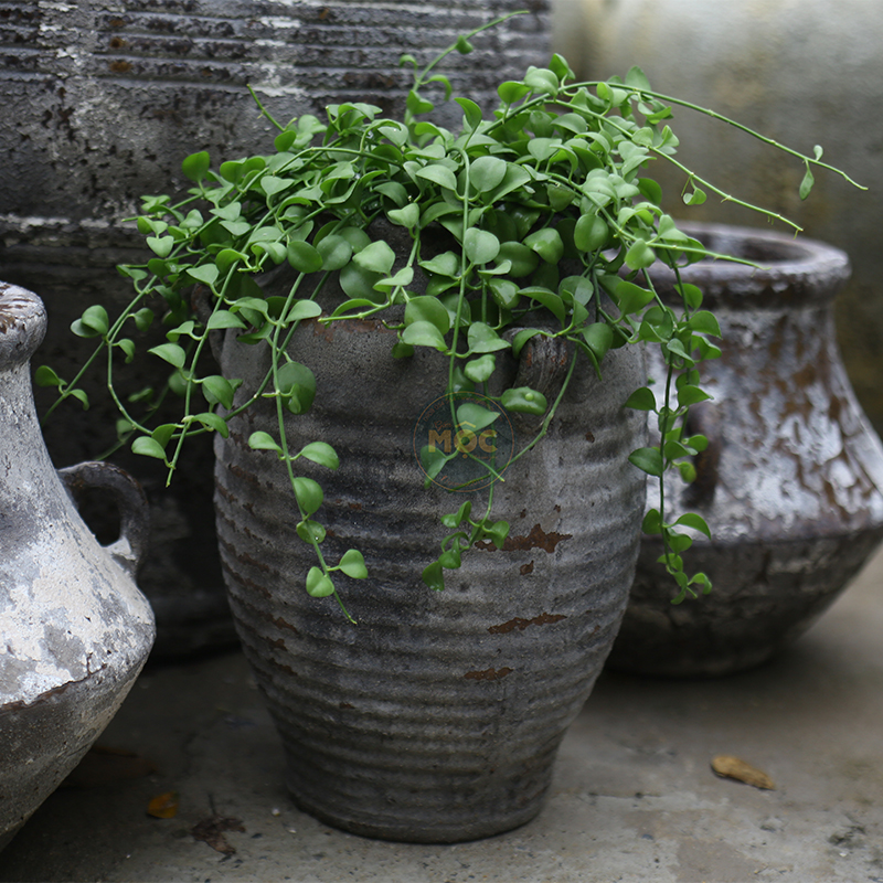 4037 Men Mỹ Thuật Bình 3 Quai 23x23x35 M16