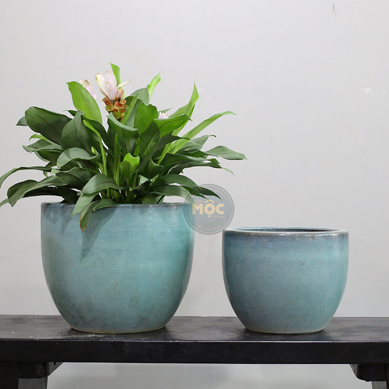 3443 OD Trứng 24x24x19 Xanh Rêu
