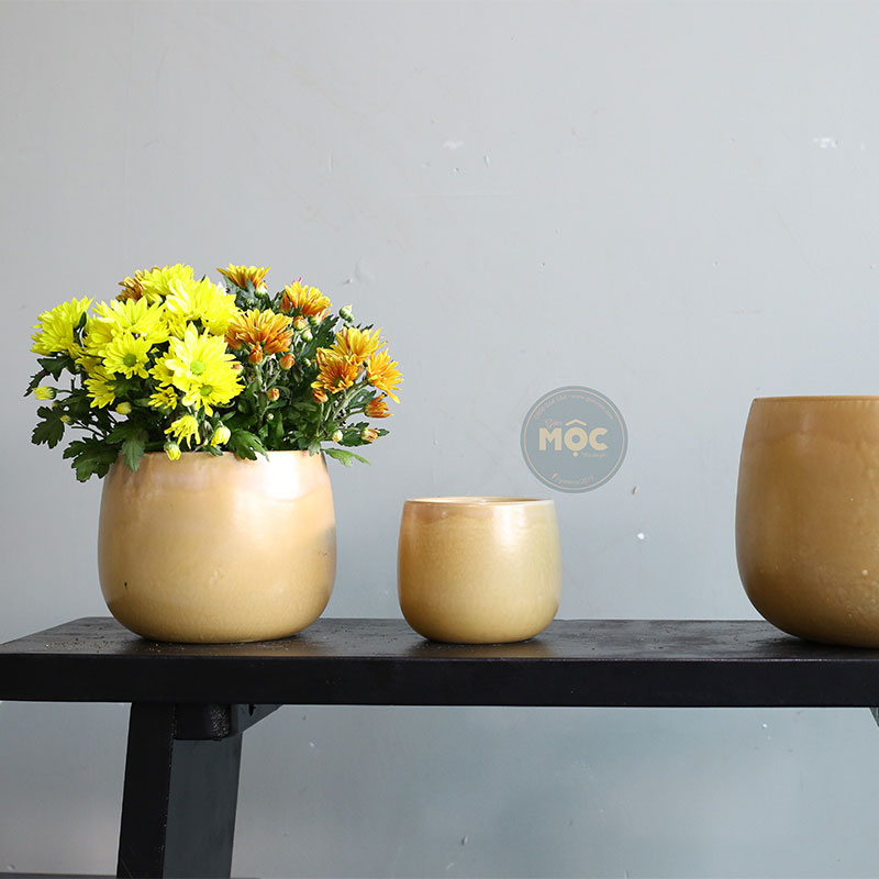 Mờ | 3746 Chậu ID Bầu Đáy 30x30x22 M26