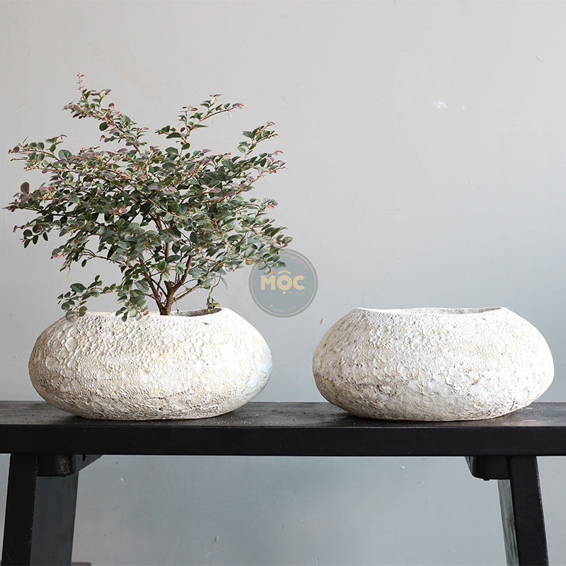 3749 Atlantic Hòn Đá Dẹp 27x25x11