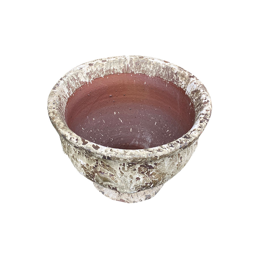 4261 Men Mỹ Thuật Ly Cúp Hoa Diên Vĩ 61x61x44